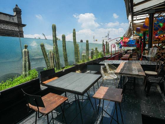 Terraza con jardín de cactus y vista al Centro